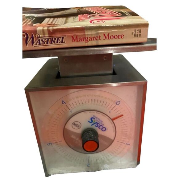 The Wastrel By Margaret Moore Paperback Romance Novel Book - Picture 14 of 14